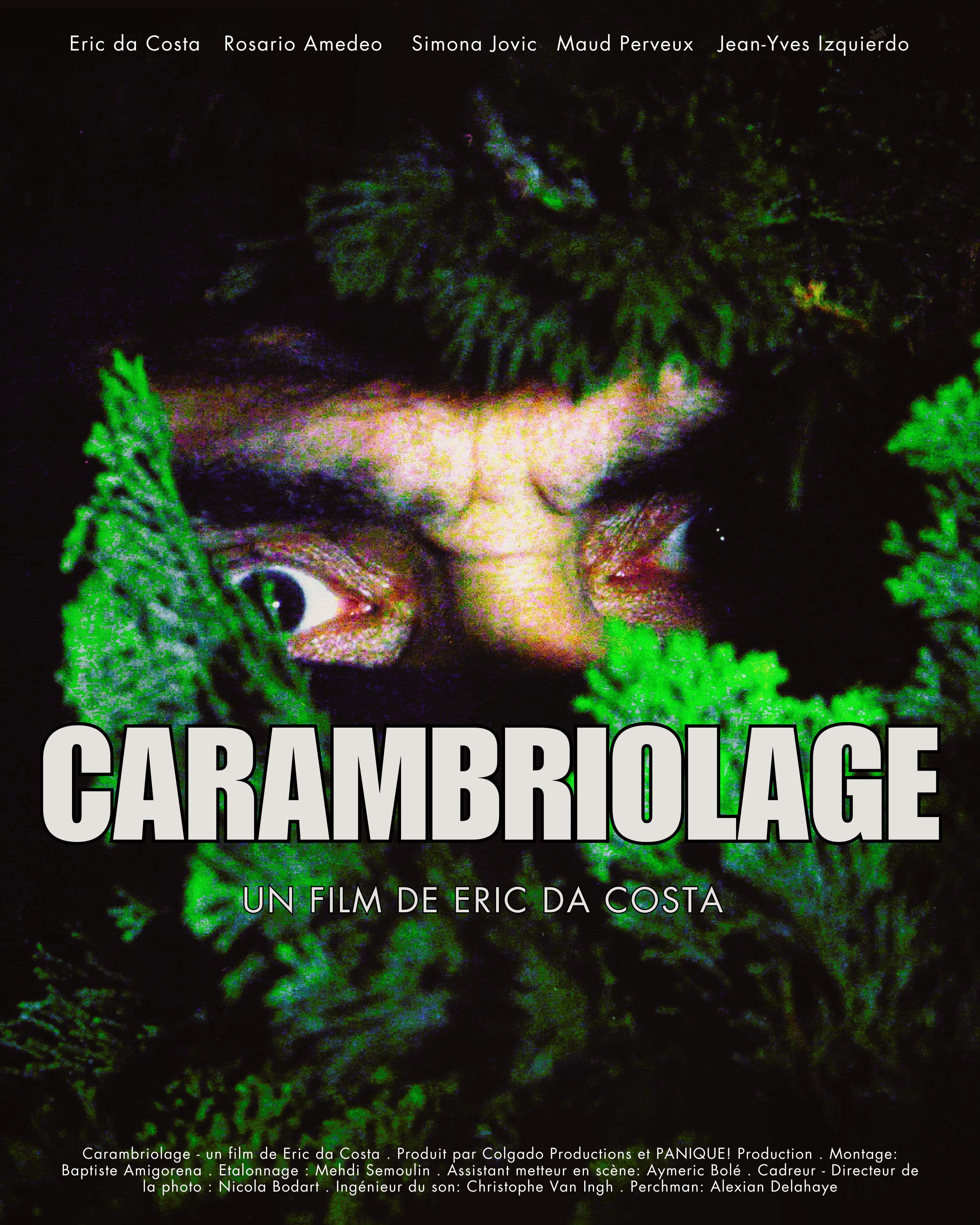 Carambriolage